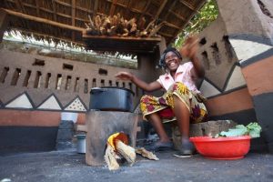 biomass-energy-conservation-programme Malawi-2