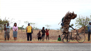 biomass-energy-conservation-programme Malawi-4
